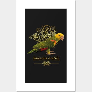 yellow-headed parrot Posters and Art